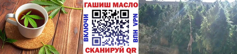 где купить наркоту  Лыткарино  Canna-Cookies конопля 