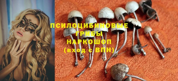 ALPHA PVP Куйбышев