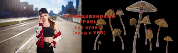 ALPHA PVP Куйбышев