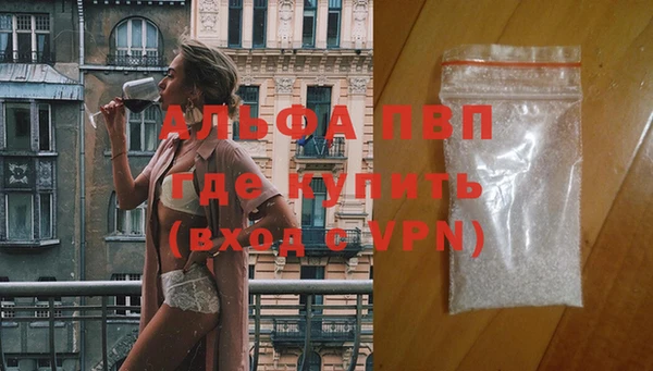 спиды Кукмор