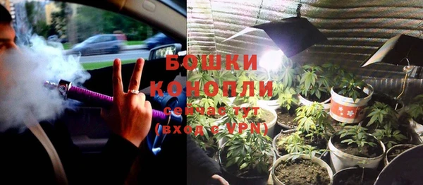 ALPHA PVP Куйбышев