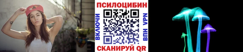 darknet наркотические препараты  купить наркоту  Лыткарино  Галлюциногенные грибы Psilocybe 